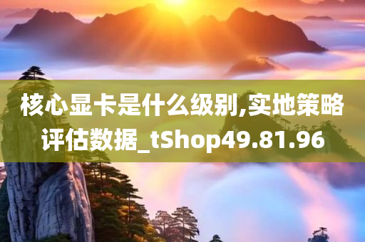 核心显卡是什么级别,实地策略评估数据_tShop49.81.96