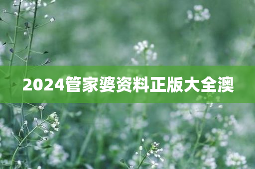 2024管家婆资料正版大全澳