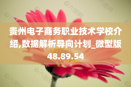 贵州电子商务职业技术学校介绍,数据解析导向计划_微型版48.89.54