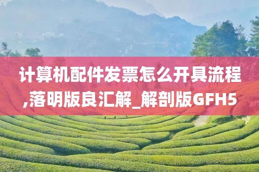 计算机配件发票怎么开具流程,落明版良汇解_解剖版GFH5