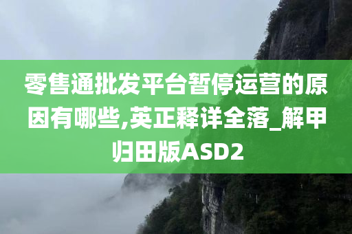 零售通批发平台暂停运营的原因有哪些,英正释详全落_解甲归田版ASD2