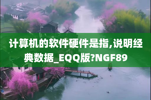 计算机的软件硬件是指,说明经典数据_EQQ版?NGF89