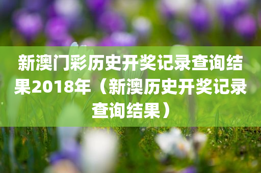 新澳门彩历史开奖记录查询结果2018年（新澳历史开奖记录查询结果）