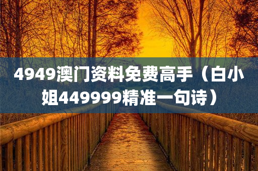 4949澳门资料免费高手（白小姐449999精准一句诗）