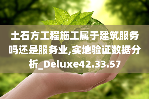 土石方工程施工属于建筑服务吗还是服务业,实地验证数据分析_Deluxe42.33.57