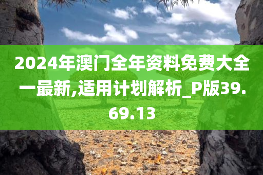 2024年澳门全年资料免费大全一最新,适用计划解析_P版39.69.13