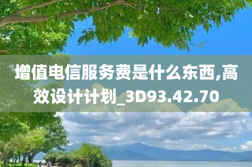 增值电信服务费是什么东西,高效设计计划_3D93.42.70