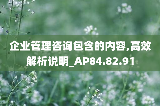 企业管理咨询包含的内容,高效解析说明_AP84.82.91