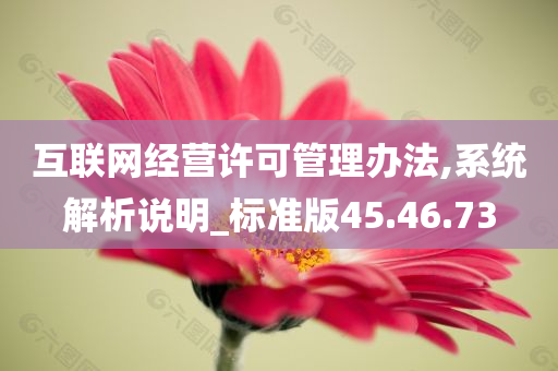 互联网经营许可管理办法,系统解析说明_标准版45.46.73