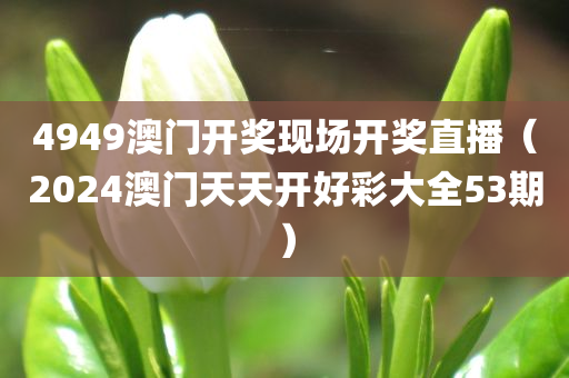 4949澳门开奖现场开奖直播（2024澳门天天开好彩大全53期）