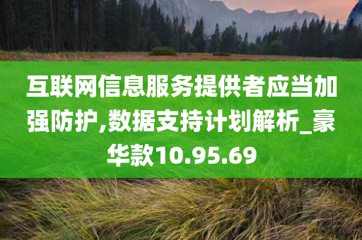 互联网信息服务提供者应当加强防护,数据支持计划解析_豪华款10.95.69