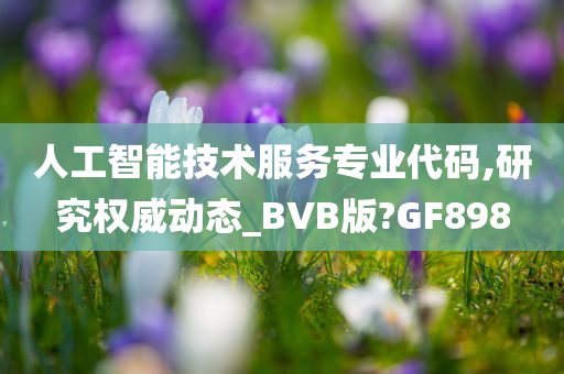 人工智能技术服务专业代码,研究权威动态_BVB版?GF898