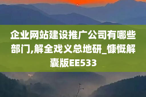 企业网站建设推广公司有哪些部门,解全戏义总地研_慷慨解囊版EE533