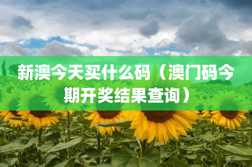 新澳今天买什么码（澳门码今期开奖结果查询）