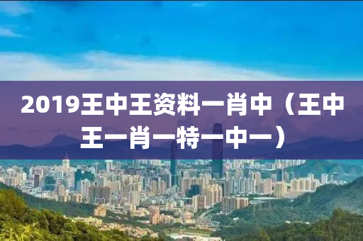 2019王中王资料一肖中（王中王一肖一特一中一）