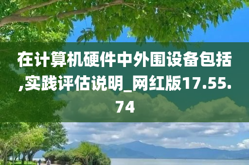 在计算机硬件中外围设备包括,实践评估说明_网红版17.55.74