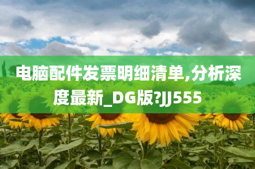 电脑配件发票明细清单,分析深度最新_DG版?JJ555