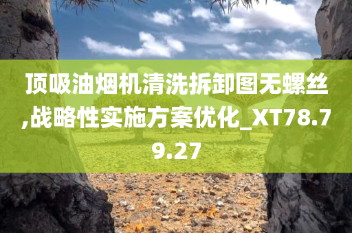 顶吸油烟机清洗拆卸图无螺丝,战略性实施方案优化_XT78.79.27