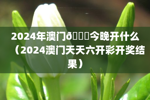 2024年澳门🐎今晚开什么（2024澳门天天六开彩开奖结果）