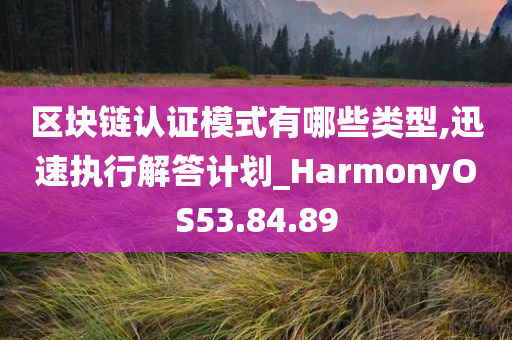 区块链认证模式有哪些类型,迅速执行解答计划_HarmonyOS53.84.89