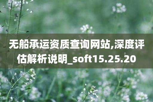 无船承运资质查询网站,深度评估解析说明_soft15.25.20