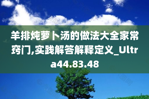 羊排炖萝卜汤的做法大全家常窍门,实践解答解释定义_Ultra44.83.48