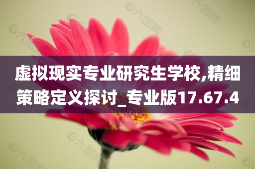 虚拟现实专业研究生学校,精细策略定义探讨_专业版17.67.40