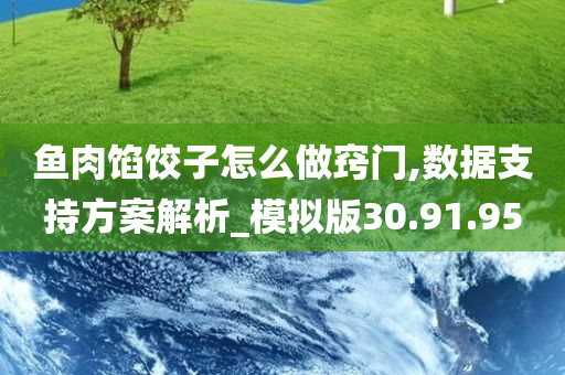 鱼肉馅饺子怎么做窍门,数据支持方案解析_模拟版30.91.95