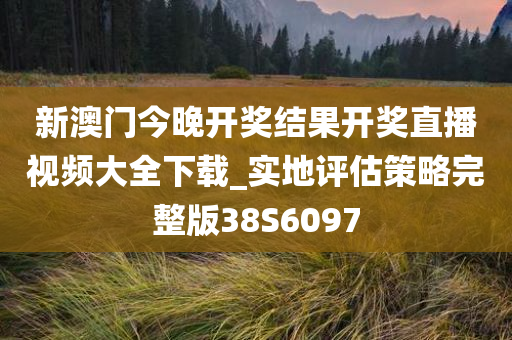 新澳门今晚开奖结果开奖直播视频大全下载_实地评估策略完整版38S6097