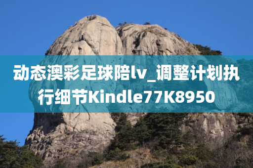 动态澳彩足球陪lv_调整计划执行细节Kindle77K8950