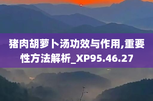 猪肉胡萝卜汤功效与作用,重要性方法解析_XP95.46.27