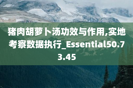 猪肉胡萝卜汤功效与作用,实地考察数据执行_Essential50.73.45