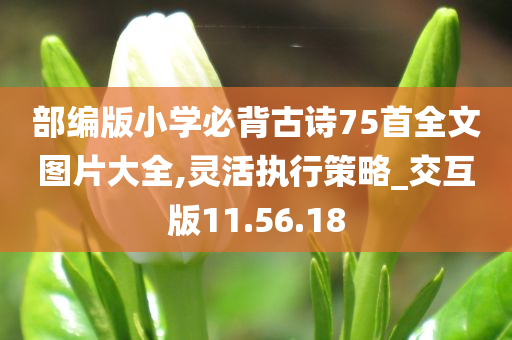 部编版小学必背古诗75首全文图片大全,灵活执行策略_交互版11.56.18