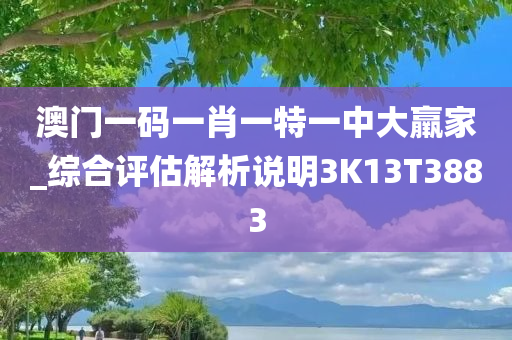 澳门一码一肖一特一中大羸家_综合评估解析说明3K13T3883