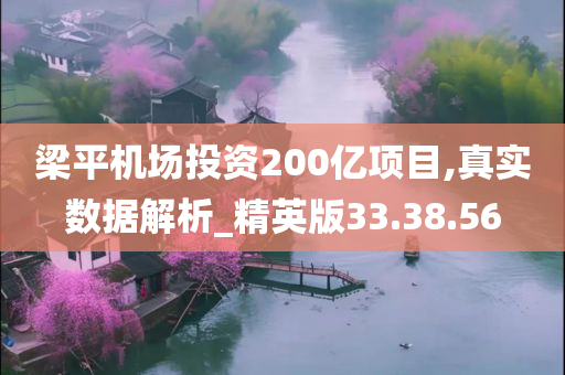 梁平机场投资200亿项目,真实数据解析_精英版33.38.56