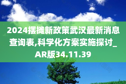 2024摆摊新政策武汉最新消息查询表,科学化方案实施探讨_AR版34.11.39