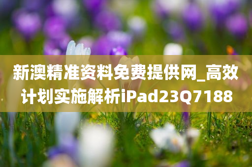 新澳精准资料免费提供网_高效计划实施解析iPad23Q7188