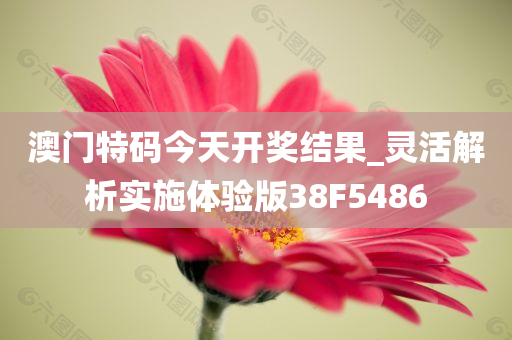 澳门特码今天开奖结果_灵活解析实施体验版38F5486