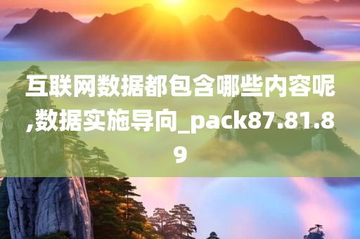 互联网数据都包含哪些内容呢,数据实施导向_pack87.81.89