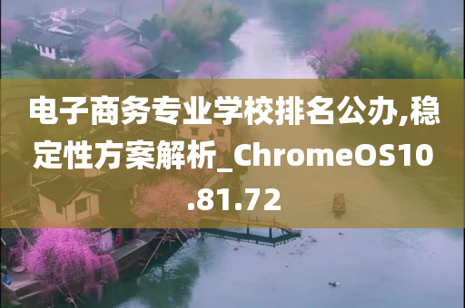 电子商务专业学校排名公办,稳定性方案解析_ChromeOS10.81.72