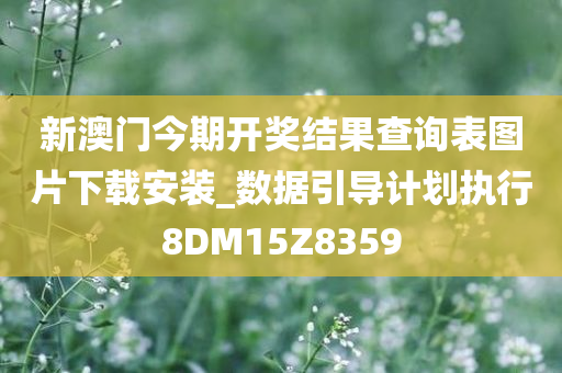 新澳门今期开奖结果查询表图片下载安装_数据引导计划执行8DM15Z8359