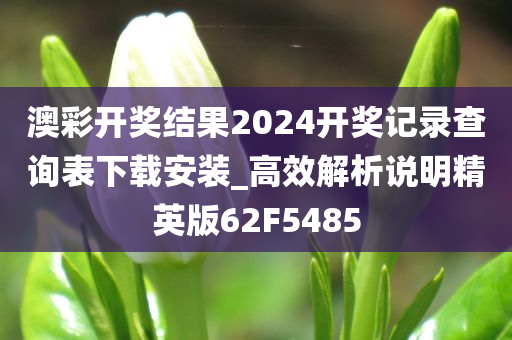 澳彩开奖结果2024开奖记录查询表下载安装_高效解析说明精英版62F5485