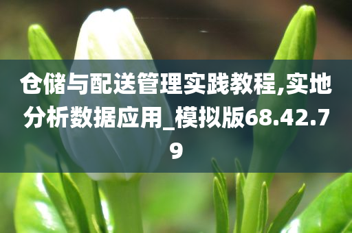 仓储与配送管理实践教程,实地分析数据应用_模拟版68.42.79