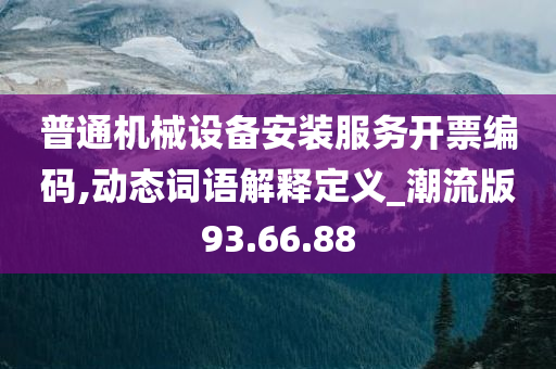 普通机械设备安装服务开票编码,动态词语解释定义_潮流版93.66.88