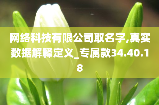 网络科技有限公司取名字,真实数据解释定义_专属款34.40.18