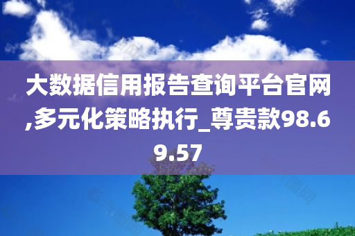 大数据信用报告查询平台官网,多元化策略执行_尊贵款98.69.57