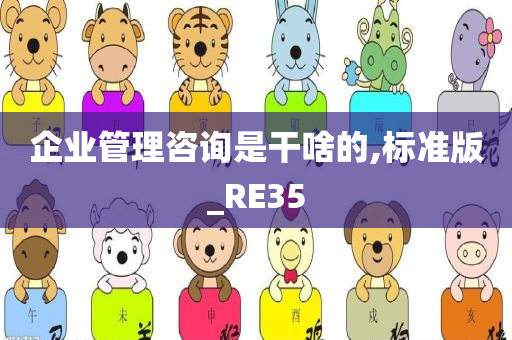 企业管理咨询是干啥的,标准版_RE35