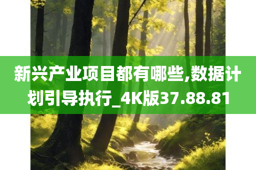 新兴产业项目都有哪些,数据计划引导执行_4K版37.88.81