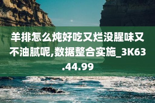 羊排怎么炖好吃又烂没腥味又不油腻呢,数据整合实施_3K63.44.99