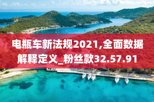 电瓶车新法规2021,全面数据解释定义_粉丝款32.57.91